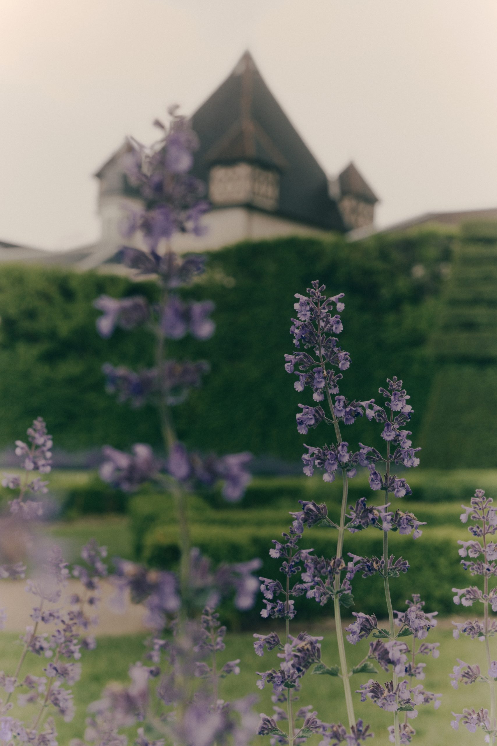 Chateau de pizay